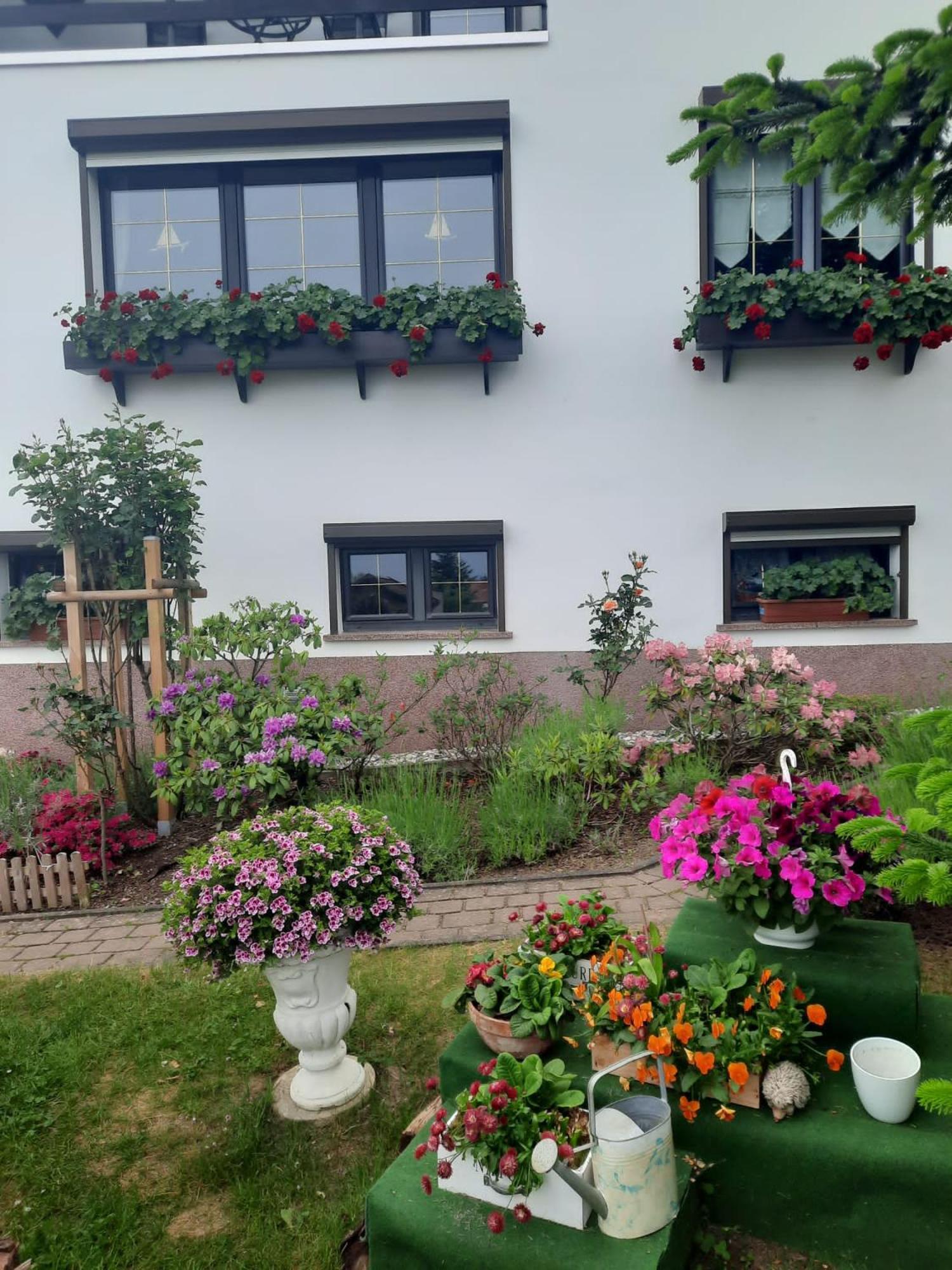 Ferienwohnung"Harzliebe" Gernrode  Dış mekan fotoğraf