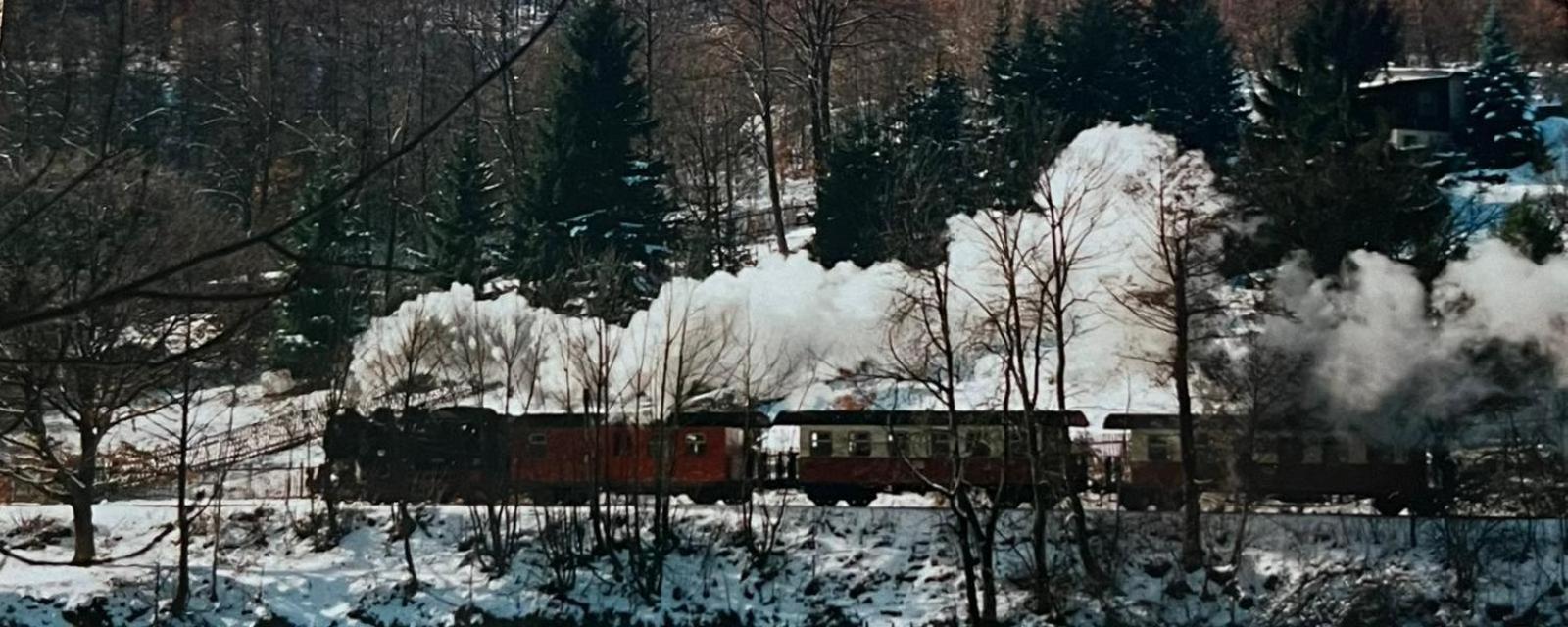 Ferienwohnung"Harzliebe" Gernrode  Dış mekan fotoğraf